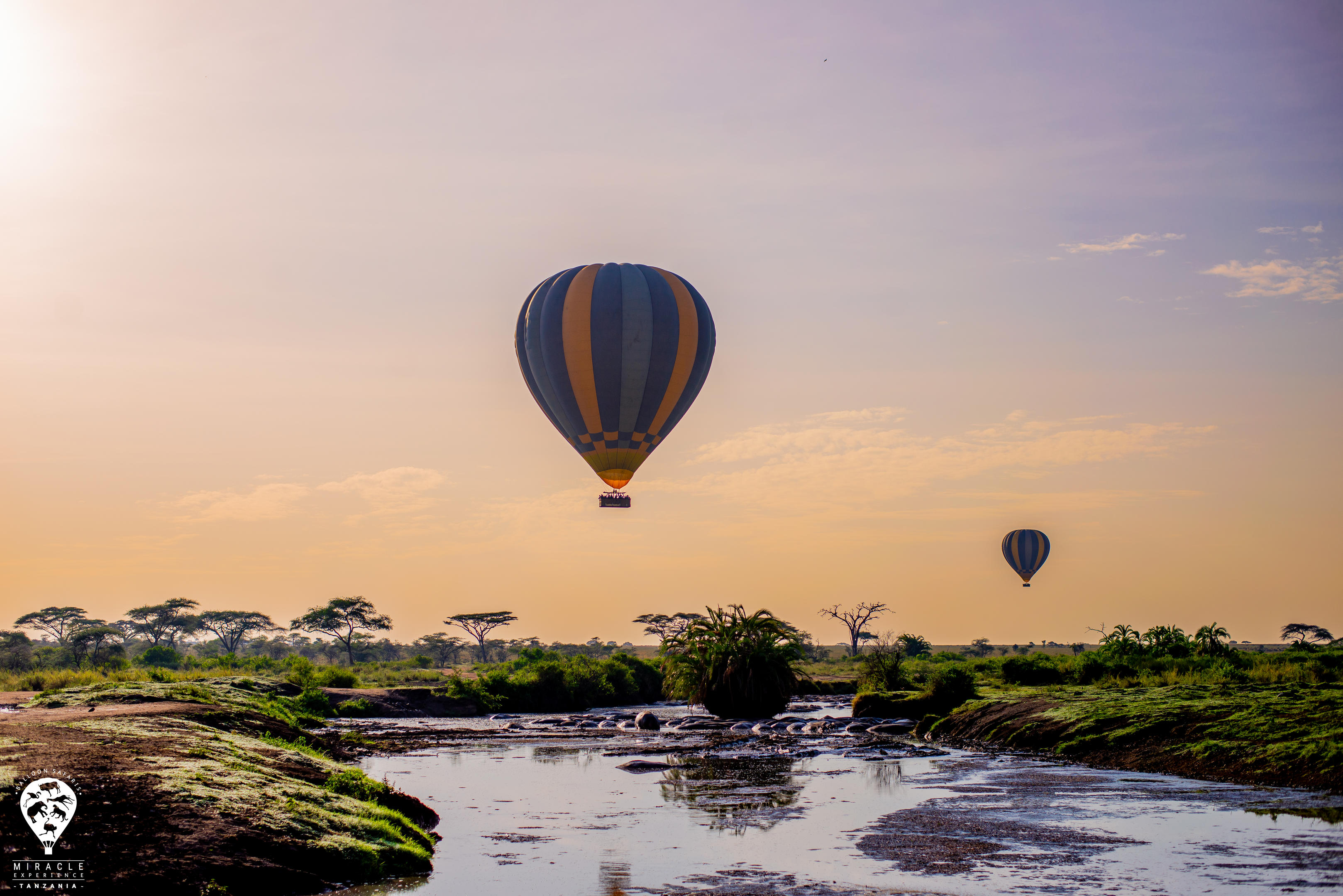 Hot air balloon floating over the Serengeti at sunrise — Tanzania balloon safari by Z&K Tanzania Safaris