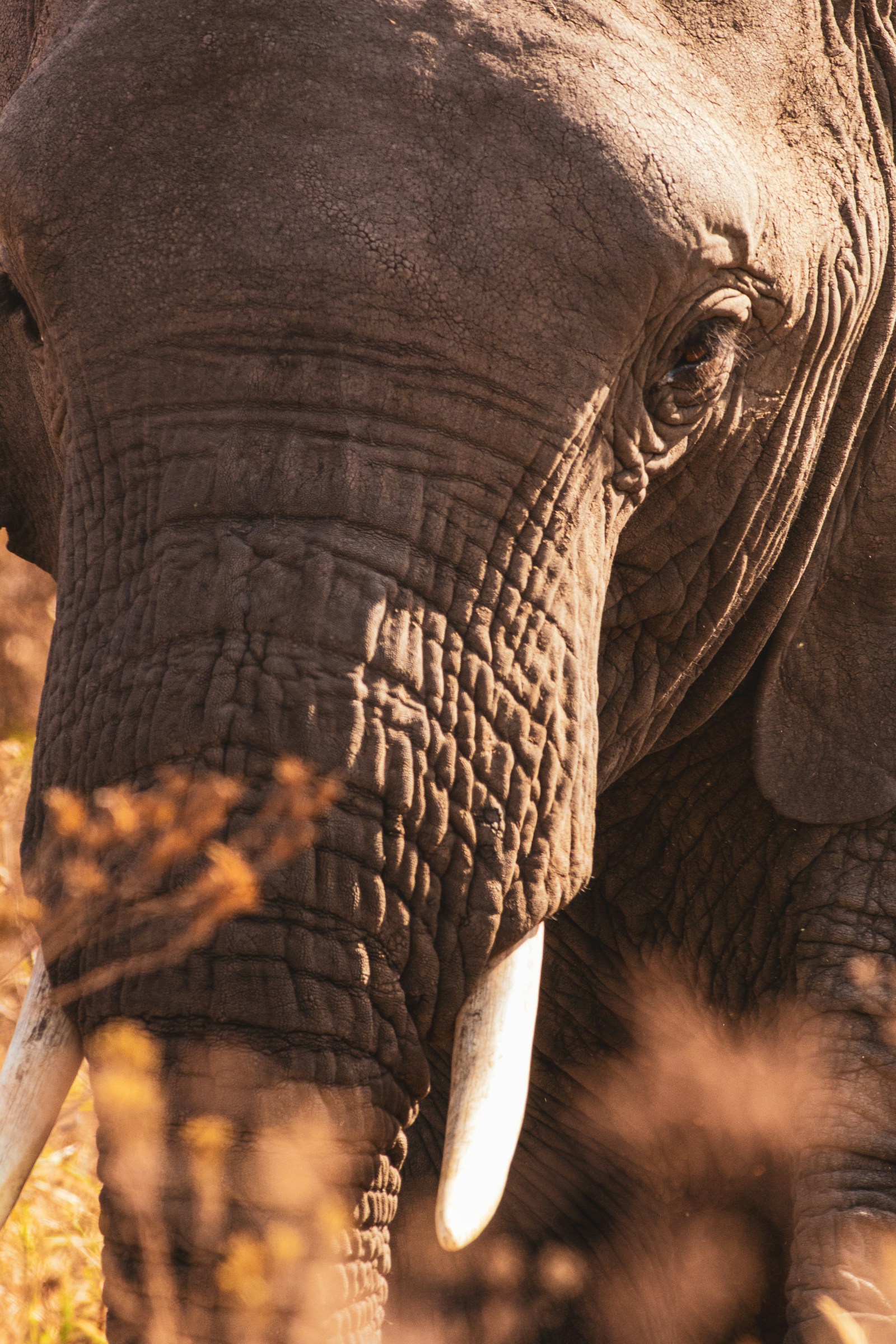 7-day Tanzania group safari and Zanzibar beach
