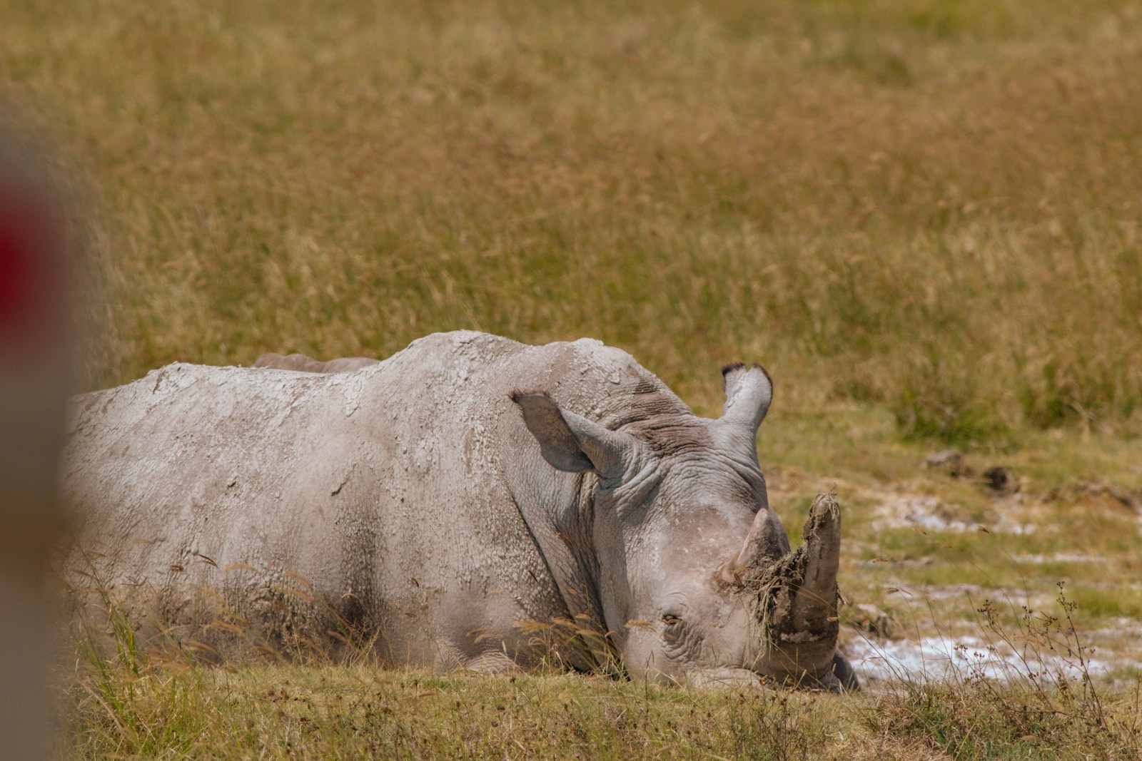 Group joining safari Tanzania across the Serengeti, Ngorongoro and Tarangire