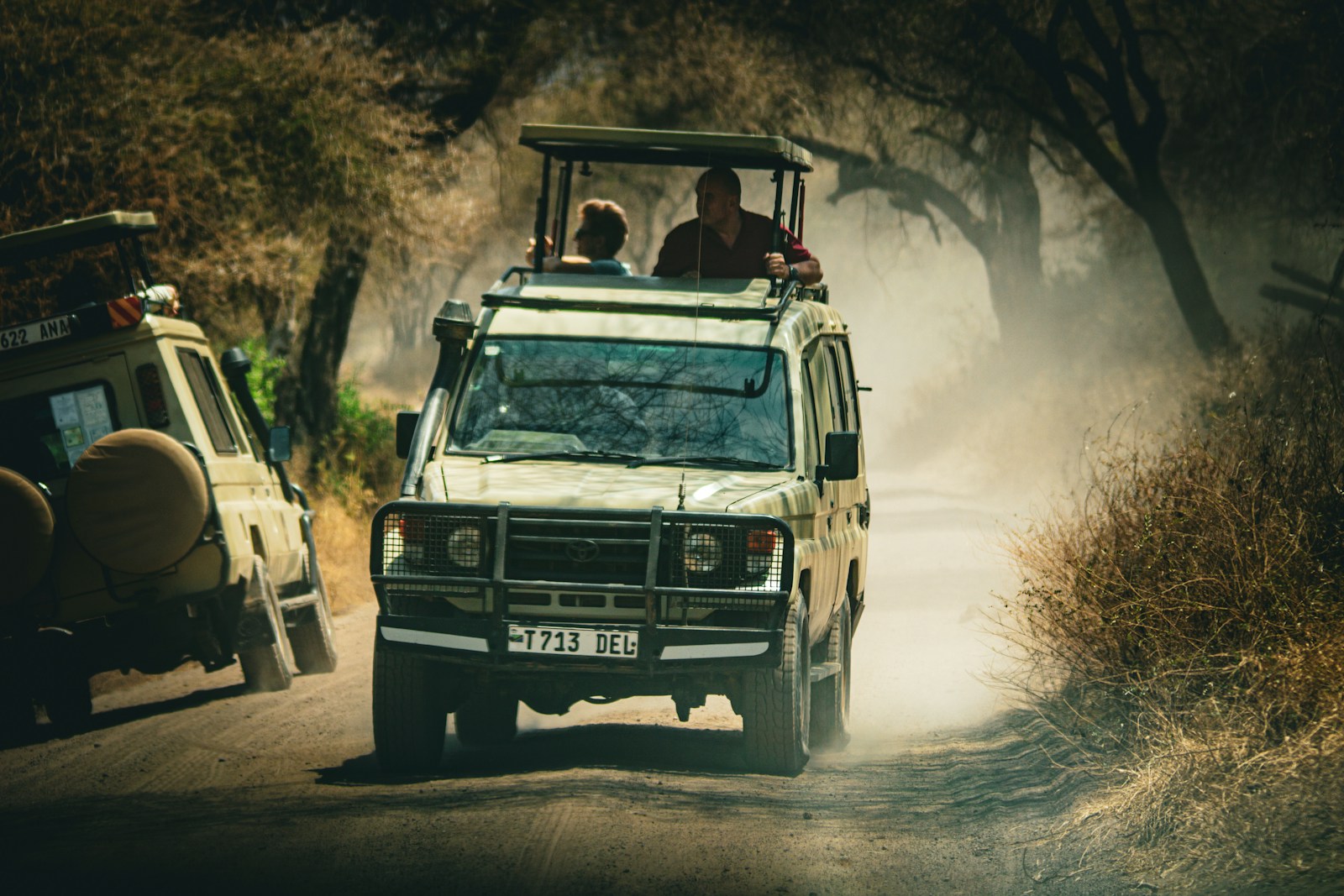 10 Days Serengeti Migration Senior Sharing Safari with a safari vehicle on a savanna road