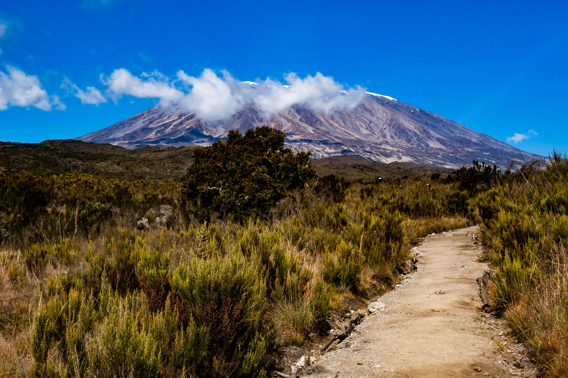 7 Days Machame Route Kilimanjaro Climbing Expedition Framework