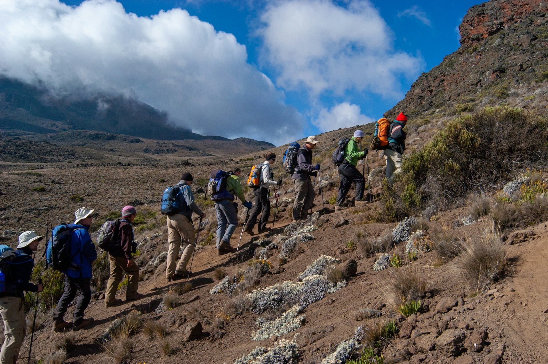 7 Days Rongai Route Kilimanjaro Climbing Northern Approach Circuit