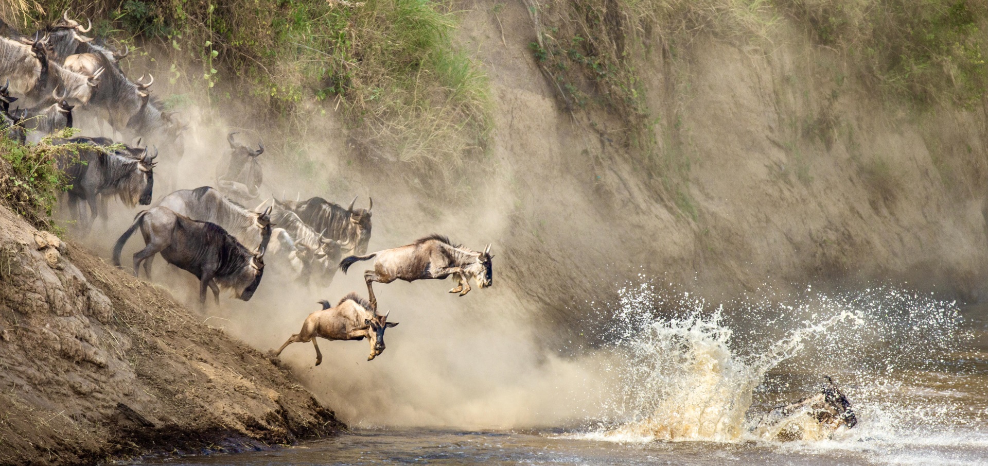 6-day Great Migration safari Tanzania Serengeti