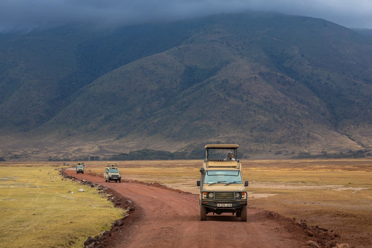 Wildlife inside the Ngorongoro Crater