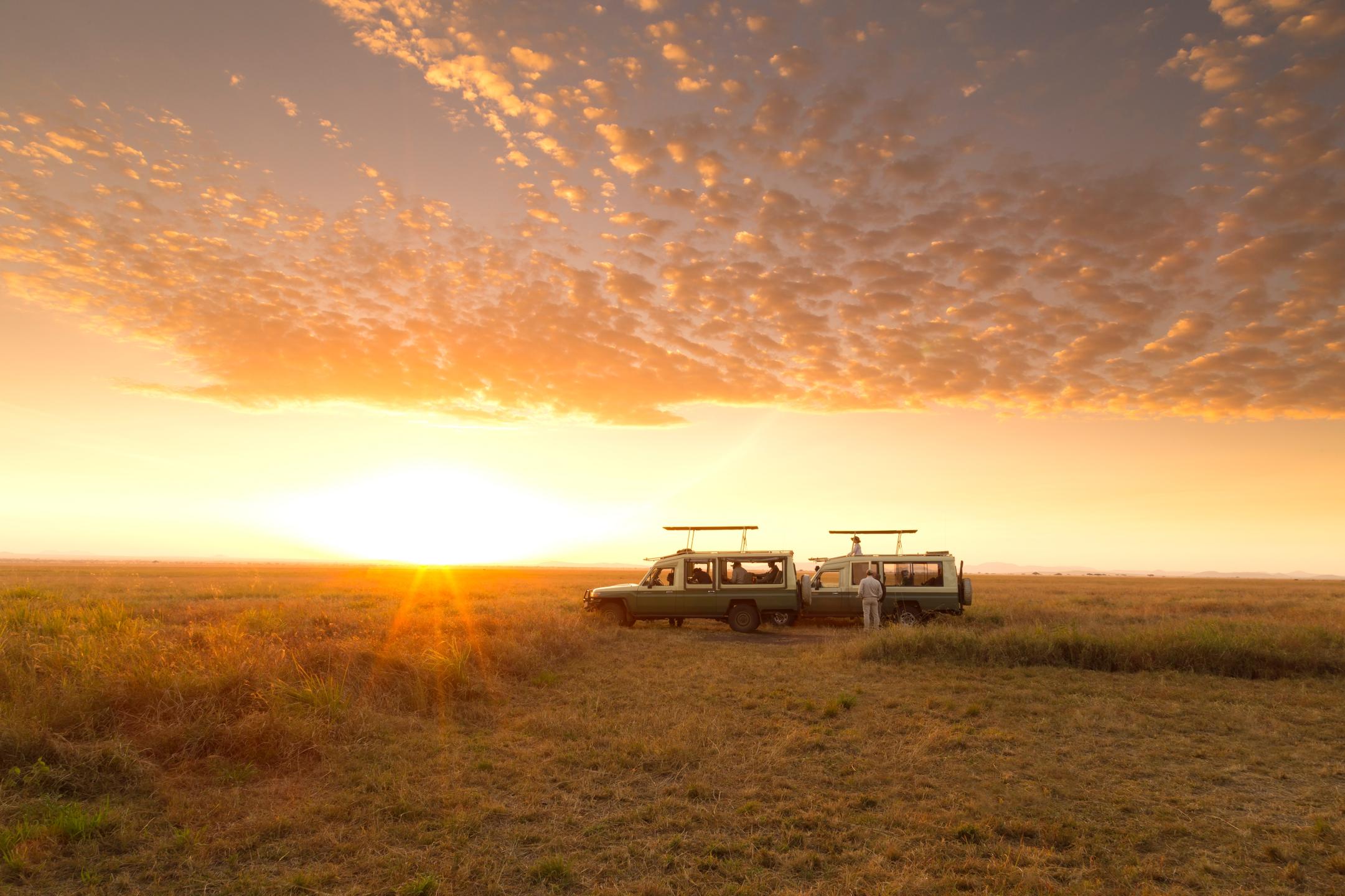 Serengeti National Park endless plains with wildlife